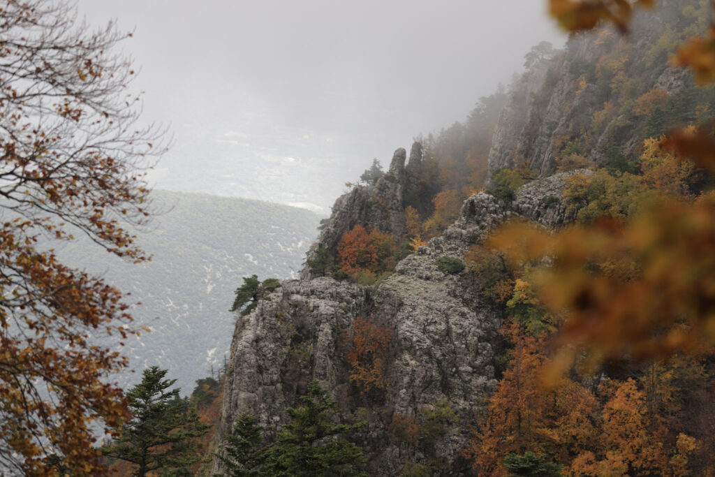 Grand Vallat du Rieu Froid