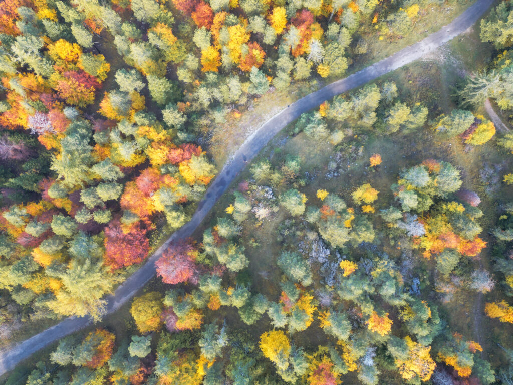 L'automne sur le Mont Ventoux